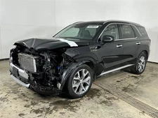 Driver Left Air Bag Driver Roof Fits 20-24 PALISADE 2739648