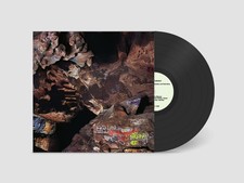 Joseph Decosimo, Luke Richardson, Cleek Schrey Beehive Cathedral (Vinyl)