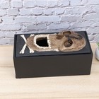 Retro -Schädel -Tissue -Box -Abdeckung Ostern Halloween Tissue Box Halter