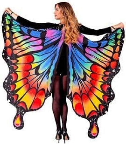 Adult Rainbow Butterfly Wings - Picture 1 of 3