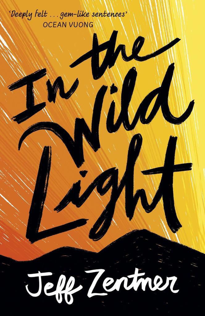 Thumbnail - In The Wild Light | Jeff Zentner | 2021 | Englisch
