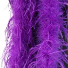 Bild 22 von 42