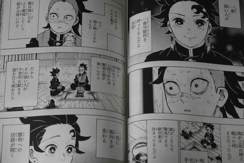Demon Slayer Kimetsu no Yaiba 20 Manga Special Manga by Koyoharu Gotouge - Picture 5 of 10