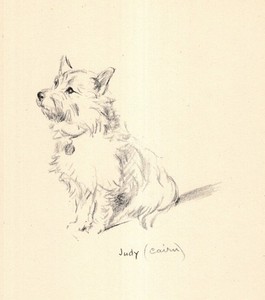 1940s Antique Lucy Dawson Cairn Terrier Print Wall Art Decor Illustration 6565h