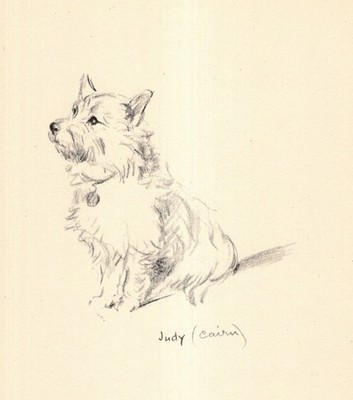 1940s Antique Lucy Dawson Cairn Terrier Print Wall Art Decor Illustration 6565h