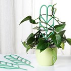  9 Stück Gartengitter für Mini-Kletterpflanzen Blattform Topfpflanze