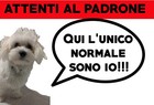 Foto 5 di 5