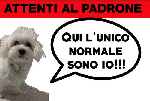 Cartello personalizzato “Attenti al cane” con foto da personalizzare idea regalo - Foto 5 di 5