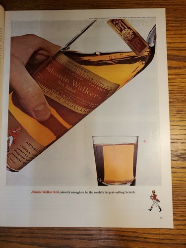 A THOUSAND DAYS - Life Magazine - July 16, 1965 - Picture 7 of 10