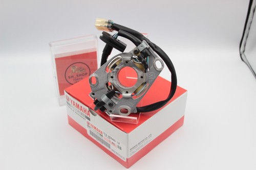 YAMAHA Genuine OEM Stator Generator Coil 1C3-85560-12 - 第 6/12 張圖片