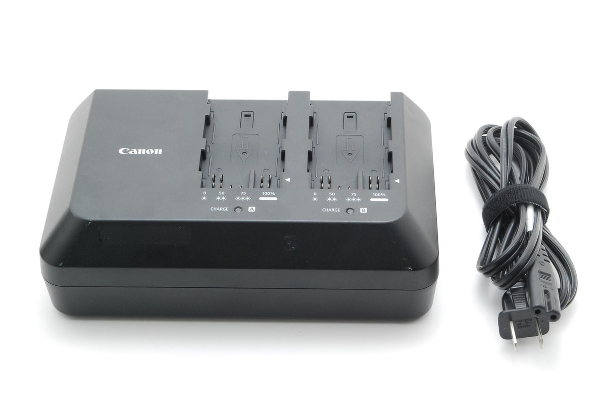 Amazon.com : Kastar LCD Dual Fast Charger for Canon BP-A30