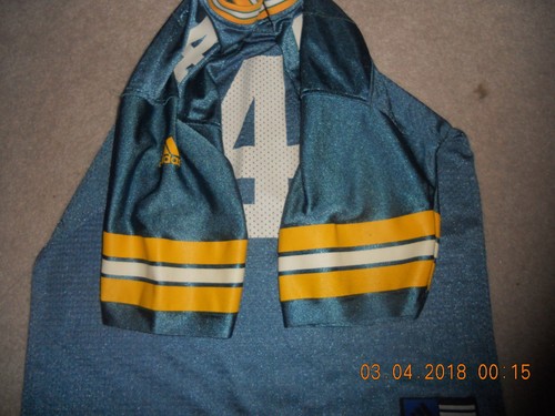 Green Bay Packers Football Jersey Throwback Acme Packers #4 Brett Favre Youth Md - Picture 8 of 9