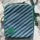American Eagle Striped Crossbody Laptop Bag Padded Messenger Blue Green