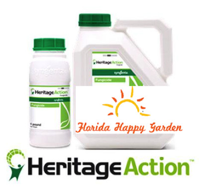 fungicide