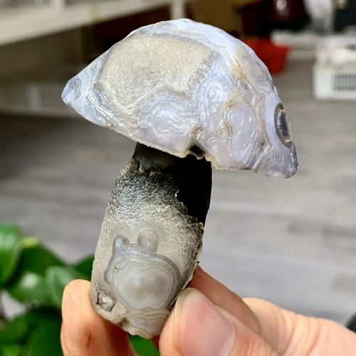 90G Natural Gobi Thousand Eyed Agate mushroom Shape Reiki Chakra Healing - Picture 5 of 20