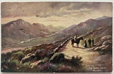 Vintage Postcard IRELAND Killarney Black Valley Cooma-A-Dhuv Tuck's Oilette