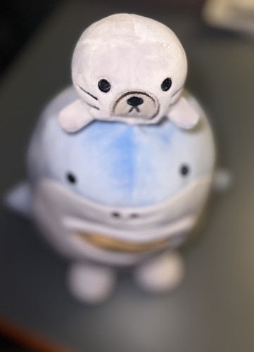 Peluche Smoko Blue Shark Tayto Midi Mochi nuovo squishy con etichetta raro HTF Limited - Foto 10 di 20