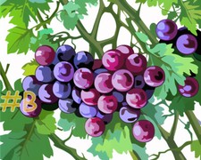 Lustrous Purple Grapes Printed Needlepoint Canvas FA111-2