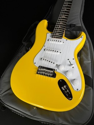 PRS SE Silver Sky with Rosewood Fingerboard - Dany Lion