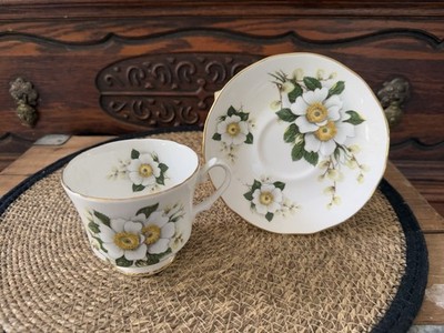 Vintage Duchess White Dogwood Begonia Fine Bone China Tea Cup & Saucer Set DUC79