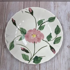 Blue Ridge Southern Pottery " Rock Rose" 8" coupe cereal Bowl