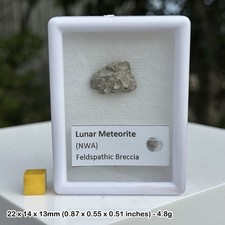 Lunar NWA 8687 Meteorite Authentic Moon Rock Specimen from Morocco with COA