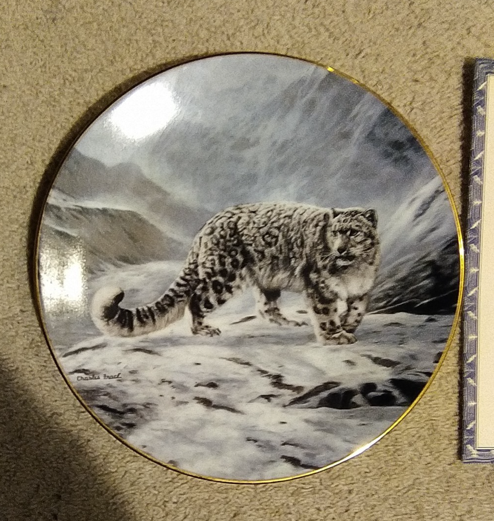 Bradford Exchange Fleeting Encounter Magnificent Cats by Charles Frace Collectible Plate