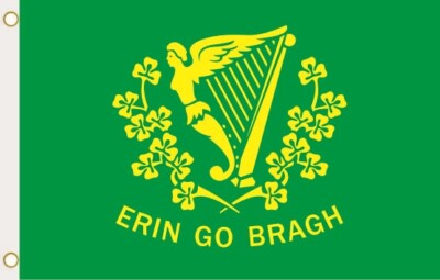 Flagge Fahne Erin go bragh 90 x 150 cm zum Hissen