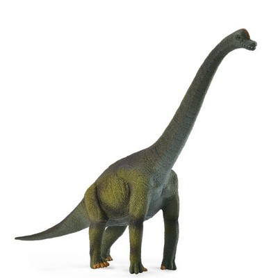 CollectA Brachiosaurus Dinosaurier Spielzeug Urzeit Figur Sammlerstück