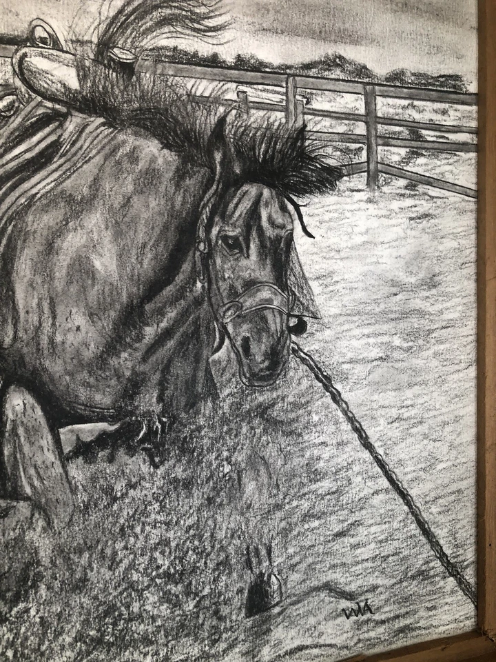 Lápiz Carbón Original Caballo Vaquero Western Rodeo Dibujo 24 X 20 Firmado WVA. Foto 3 de 4