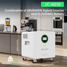 48V 314Ah 16.07kWh LiFePO4 Batterie Akku+6kW Hybrid Wechselrichter PV Mit WIFI