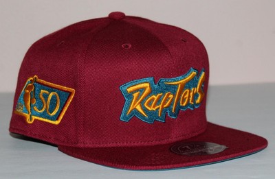 Mitchell & Ness TORONTO RAPTORS Dynasty Fitted Hat Cap 7 3/8 Northern Lights *5U