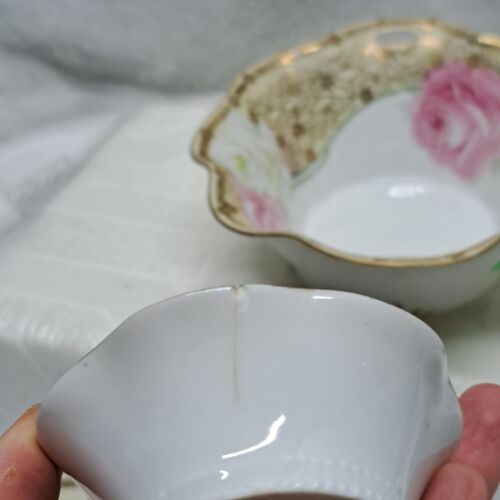 R.S Germany Footed Porcelain Berry Nut Bowl Set of 7 Hand Painted Roses Gold - Picture 11 of 12