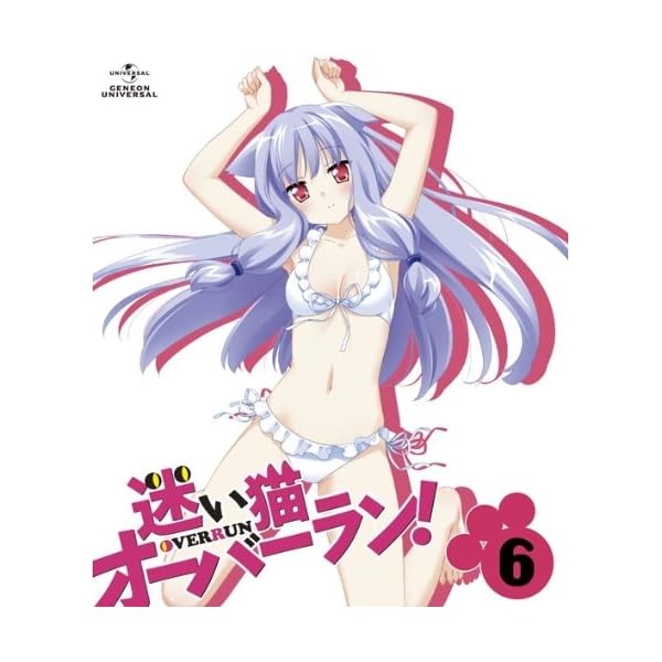 A lost cat overrun Volume 6 <> [Blu-ray] Official Collectible Exclusive Japan