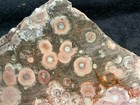 Z~ Galaxy Ryolite Faced Rough 3 lbs — photo 1