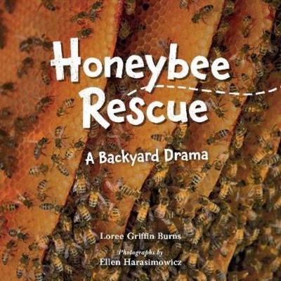 Ellen Harasimowicz Loree Griffin Honeybee Rescue (Gebundene Ausgabe) (US IMPORT)