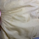 Foto 13 di 13