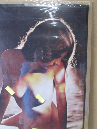 vintage 1972 Hot girl ORIGINAL man cave car garage Poster 22402 - Picture 2 of 5