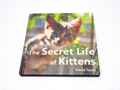 Secret Life of Kittens Book Hardcover Cats Homeschool