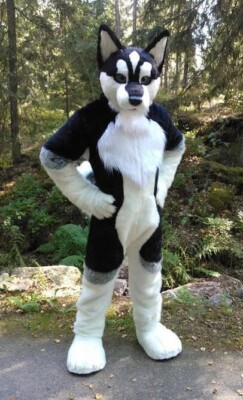 Long Fur Husky Dog Fox Mascot Costume Fursuit Halloween Suit