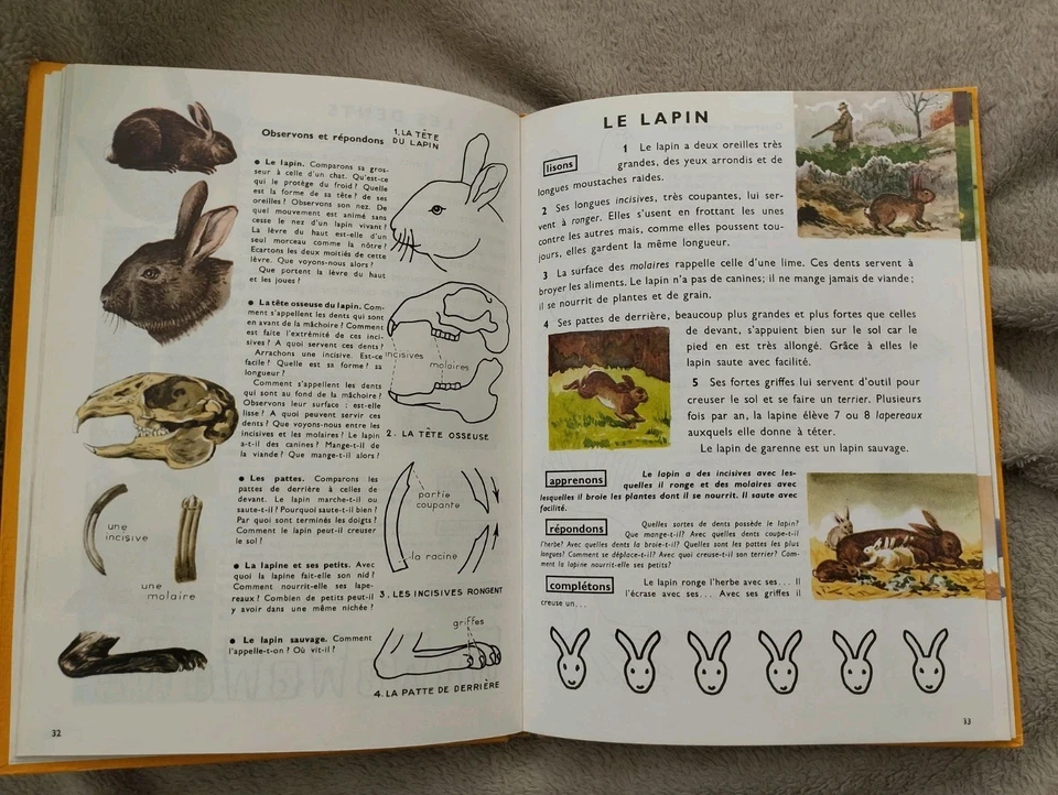 Ancien Livre Scolaire Leçons de choses au Cours élémentaire - Photo 3/4