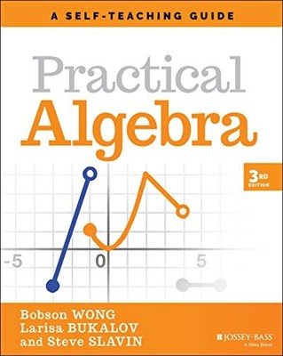 Steve Slavin - Practical Algebra   A Self-Teaching Guide - Paperback - G245z