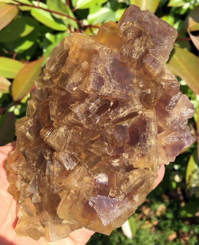 862g Amazing!! Natural Fantastic Yellow Fluorite Quartz Crystal Specimen ic5522 - Picture 2 of 12