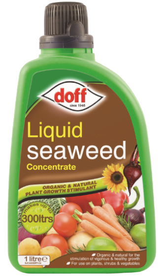 Doff Organic Liquid Seaweed Garden Growth Plant Feed Fertiliser Concentrate 1L