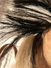 Bild 12 von 12