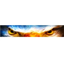 Animal Eye Graphic Decal Vinyl Sticker for Car Front Window Windshield Banner