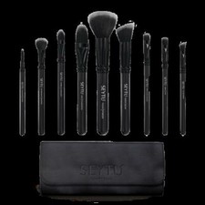 Professional 9-Piece Brush Set 9 pieces