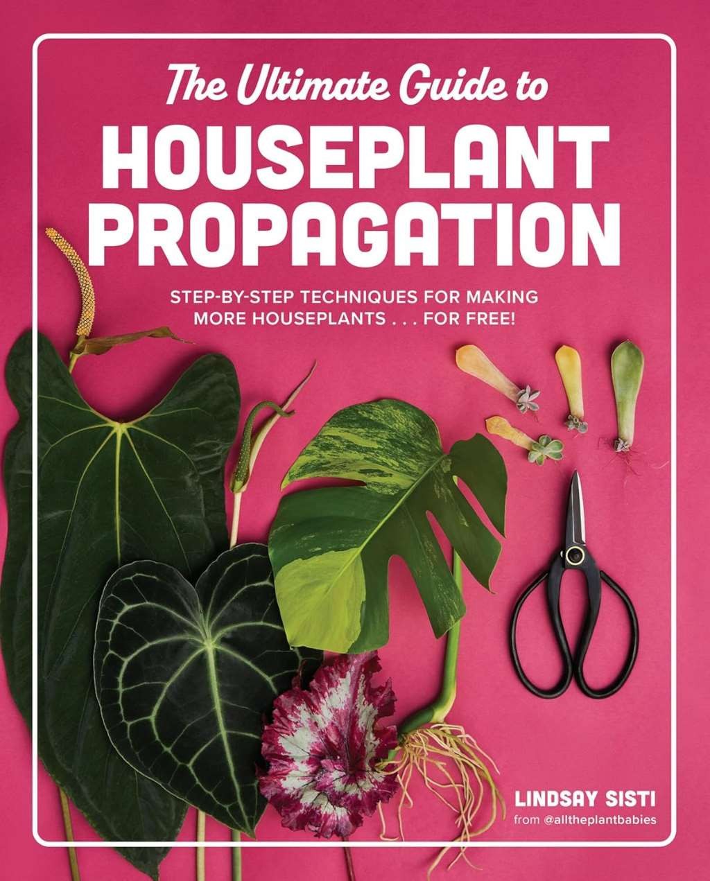 The Ultimate Guide to Houseplant Propagation: Step-by-Step Techniques for Making
