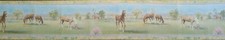  The Prairie Pony Horse Wallpaper Border by I...