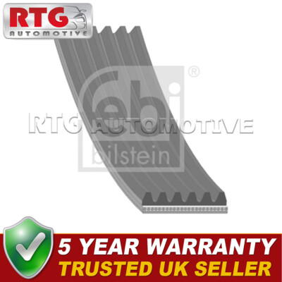 Alternator Belt Fits Citroen Dispatch Berlingo Peugeot 406 Expert Partner